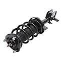 Complete Strut Assembly: Includes Strut, Coil Spring and Mount