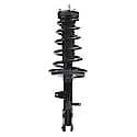 Complete Strut Assembly: Includes Strut, Coil Spring and Mount