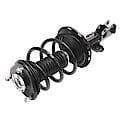 Complete Strut Assembly: Includes Strut, Coil Spring and Mount