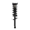 Complete Strut Assembly: Includes Strut, Coil Spring and Mount