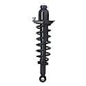 Complete Strut Assembly: Includes Strut, Coil Spring and Mount