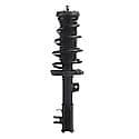 Complete Strut Assembly 18-920203: Includes Strut, Coil Spring and Mount