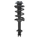 Complete Strut Assembly: Includes Strut, Coil Spring and Mount