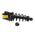 Complete Strut Assembly: Includes Strut, Coil Spring and Mount