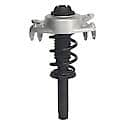 Complete Strut Assembly 18-920234 : Includes Strut, Coil Spring and Mount