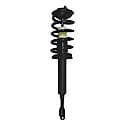 Complete Strut Assembly 18-811045L: Includes Strut, Coil Spring and Mount