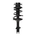 Complete Strut Assembly 18-817016: Includes Strut, Coil Spring and Mount