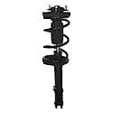 Complete Strut Assembly 18-810163: Includes Strut, Coil Spring and Mount