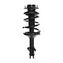 Complete Strut Assembly 18-817015: Includes Strut, Coil Spring and Mount