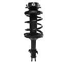 Suspension Strut and Coil Spring Assemblies