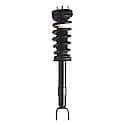 Complete Strut Assembly: Includes Strut, Coil Spring and Mount