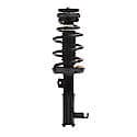 Complete Strut Assembly: Includes Strut, Coil Spring and Mount