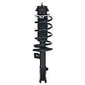 Complete Strut Assembly: Includes Strut, Coil Spring and Mount