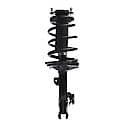 Complete Strut Assembly: Includes Strut, Coil Spring and Mount