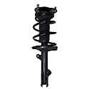 Complete Strut Assembly: Includes Strut, Coil Spring and Mount