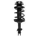 Complete Strut Assembly: Includes Strut, Coil Spring and Mount