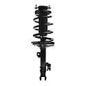 Complete Strut Assembly: Includes Strut, Coil Spring and Mount