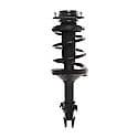 Complete Strut Assembly: Includes Strut, Coil Spring and Mount