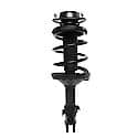 Complete Strut Assembly: Includes Strut, Coil Spring and Mount