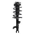 Complete Strut Assembly: Includes Strut, Coil Spring and Mount