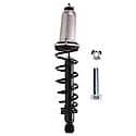 Complete Strut Assembly: Includes Strut, Coil Spring and Mount