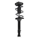 Complete Strut Assembly 18-920067: Includes Strut, Coil Spring and Mount