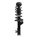 Complete Strut Assembly: Includes Strut, Coil Spring and Mount