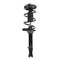 Complete Strut Assembly 18-920066: Includes Strut, Coil Spring and Mount