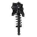 Complete Strut Assembly: Includes Strut, Coil Spring and Mount