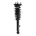 Complete Strut Assembly: Includes Strut, Coil Spring and Mount