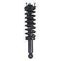 Complete Strut Assembly: Includes Strut, Coil Spring and Mount