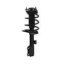 Complete Strut Assembly: Includes Strut, Coil Spring, and Mount