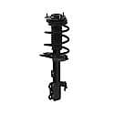 Complete Strut Assembly: Includes Strut, Coil Spring, and Mount