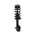 Complete Strut Assembly: Includes Strut, Coil Spring, and Mount