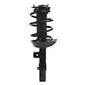 Complete Strut Assembly 18-920415: Includes Strut, Coil Spring and Mount