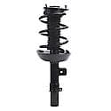 Complete Strut Assembly 18-920412: Includes Strut, Coil Spring and Mount