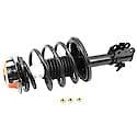 Complete Strut Assembly: Includes Strut, Coil Spring, and Mount