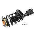 Complete Strut Assembly: Includes Strut, Coil Spring, and Mount