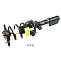 Complete Strut Assembly: Includes Strut, Coil Spring, and Mount