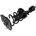 Complete Strut Assembly: Includes Strut, Coil Spring, and Mount