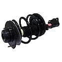 Complete Strut Assembly: Includes Strut, Coil Spring, and Mount