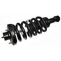 Complete Strut Assembly: Includes Strut, Coil Spring, and Mount