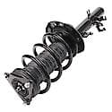 Complete Strut Assembly: Includes Strut, Coil Spring and Mount