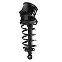 Complete Strut Assembly: Includes Strut, Coil Spring and Mount