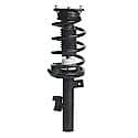 Complete Strut Assembly: Includes Strut, Coil Spring and Mount