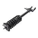 Complete Strut Assembly: Includes Strut, Coil Spring and Mount