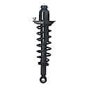 Complete Strut Assembly: Includes Strut, Coil Spring and Mount