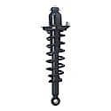 Complete Strut Assembly: Includes Strut, Coil Spring and Mount