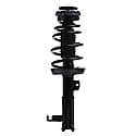 Complete Strut Assembly: Includes Strut, Coil Spring and Mount