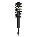 Complete Strut Assembly: Includes Strut, Coil Spring and Mount